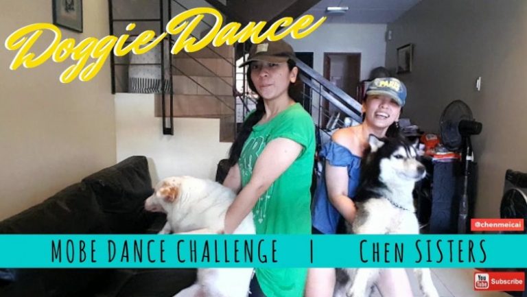 ASAP Mobe Dance Challenge by the Chen Sisters 2017