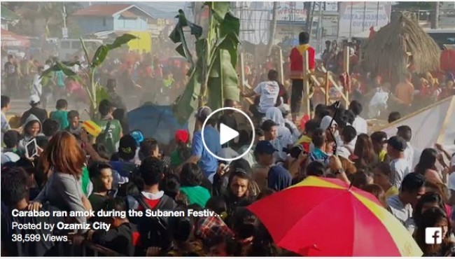 Carabao ran amok during the Subanen Festival held at Cotta grounds, Ozamiz City
