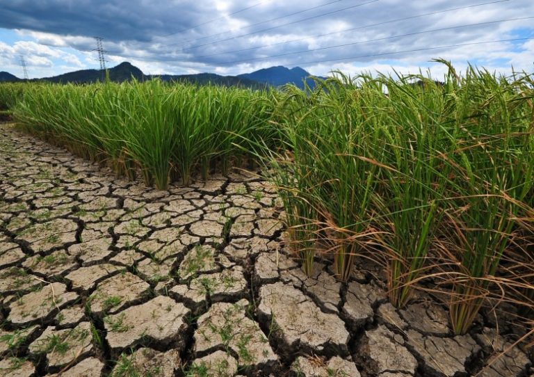 Time To Prepare – Another El Niño threatens poor Asian countries in 2018