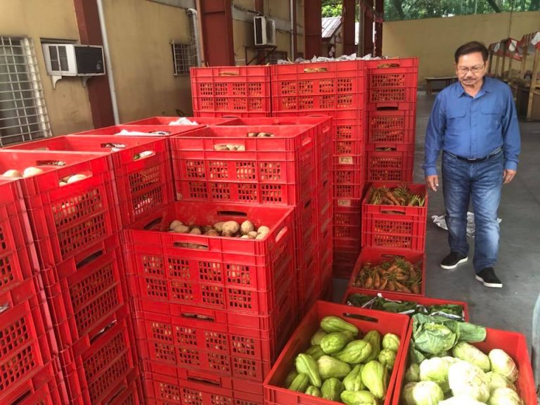 Metro Market Prices Drop as Mindanao Veggies Arrive