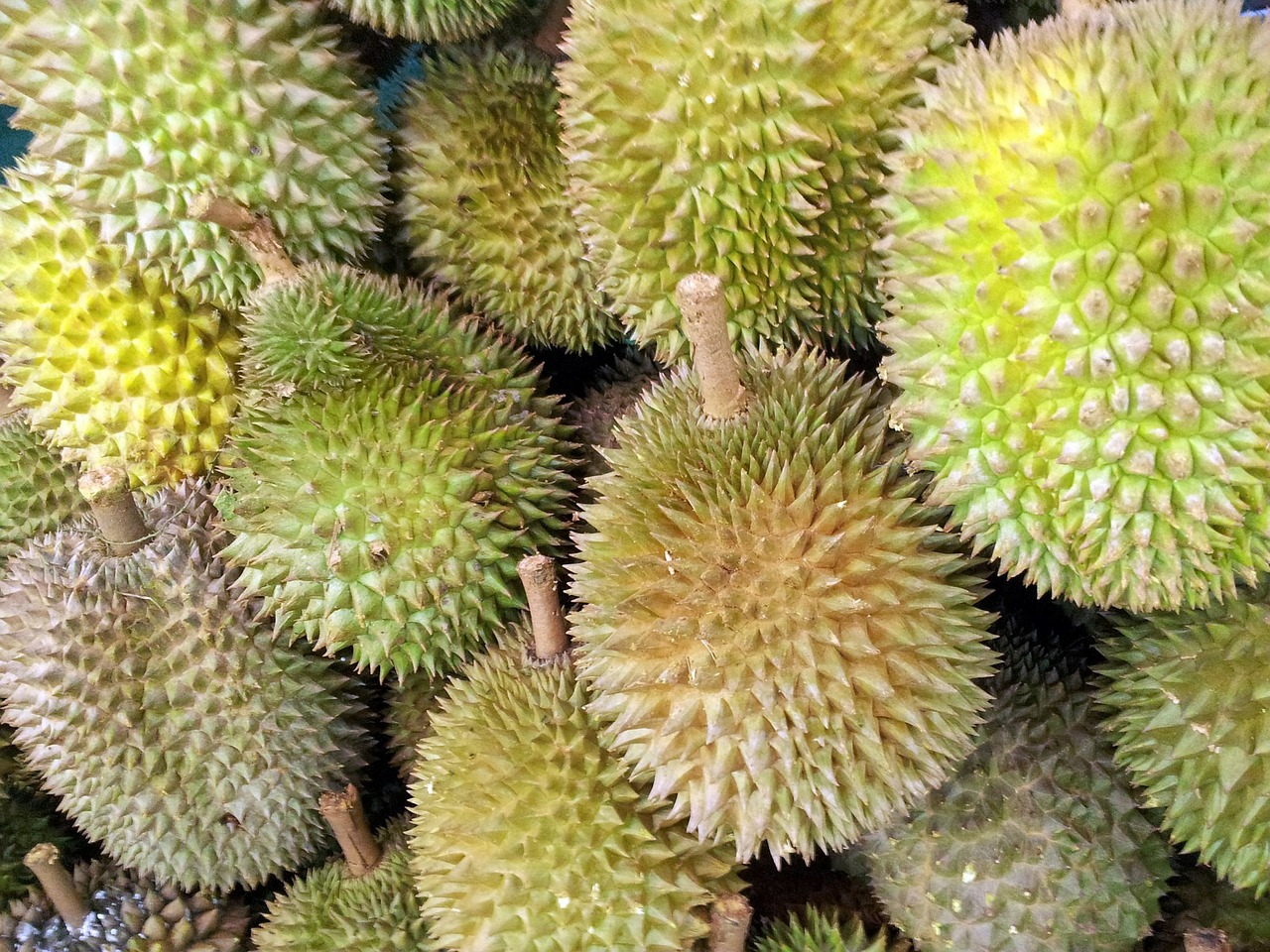 durian-1
