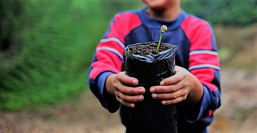 AgriNow: Ways to attract Millenials to engage in agriculture