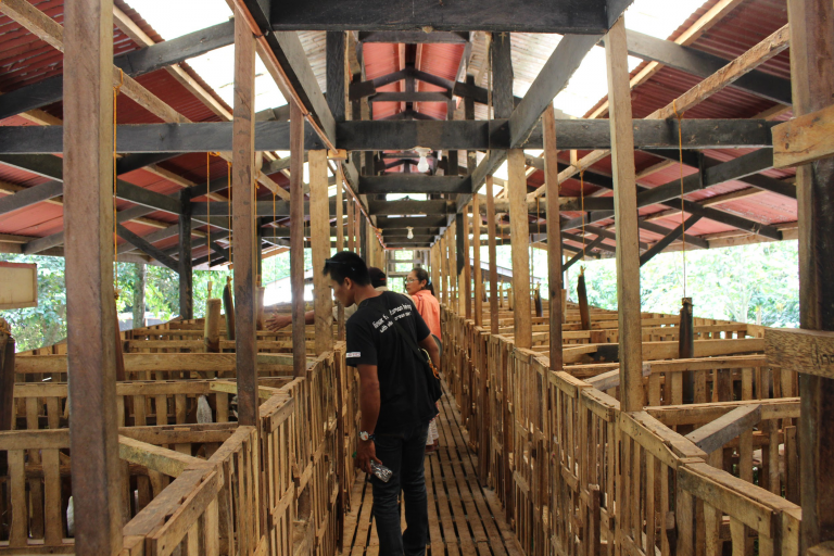 AgriNow: New Agri Tourism Farms in Davao