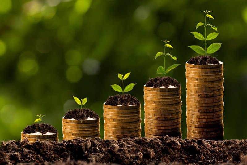 benefit-of-money-plant