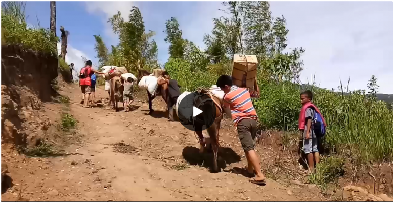 Farmers in PH Struggle in Transporting Agri Commodities