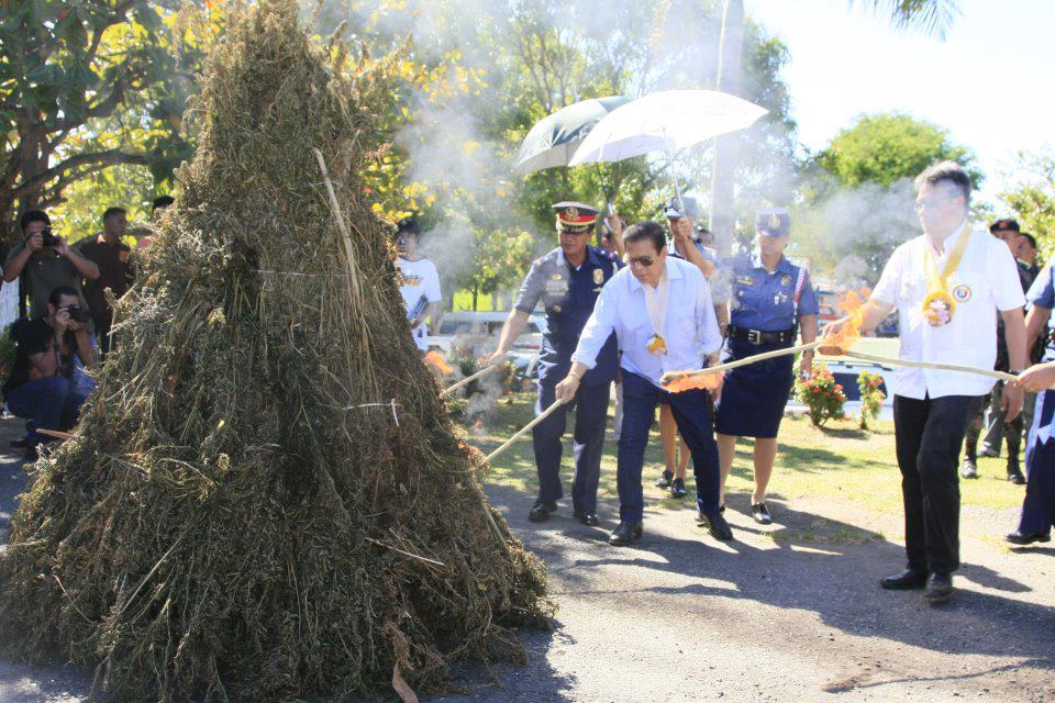 Government-Officials-Destroy-Marijuana-Crops...-By-Burning-It