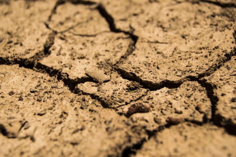 PH initial agricultural damage reached Php464M due to El Niño