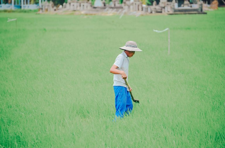 Senate Supports House Bill to Strengthen Linkages of Farmers and Private Sectors