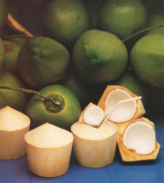 DAPhilippine Coconut Authority to Link Farmers with U.S. Consolidators
