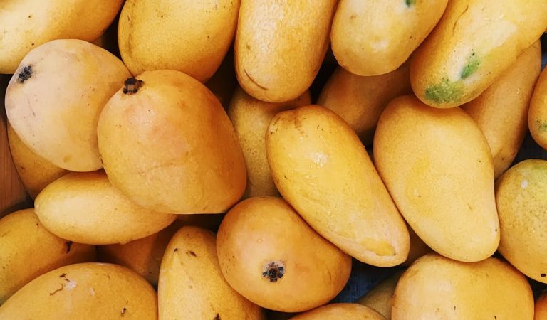 Japan to Purchase Excess Supply of Philippine Mangoes Japan to Purchase Excess Supply of Philippine Mangoes