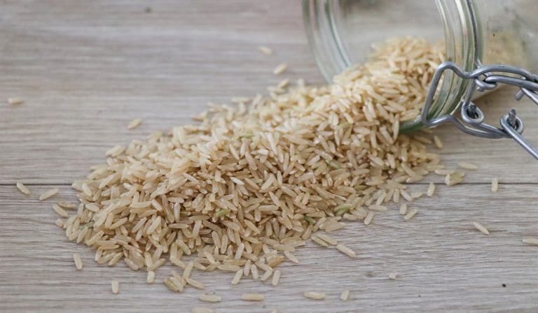 rice as treatment to illnesses