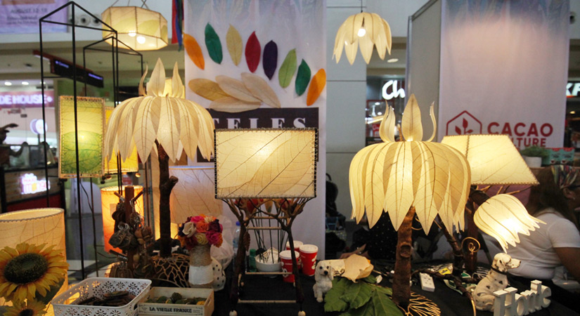 Cacao Industry venture to non-chocolate products Non-chocolate products to boost cacao industry