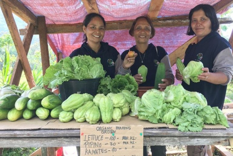 organic farming in camiguin