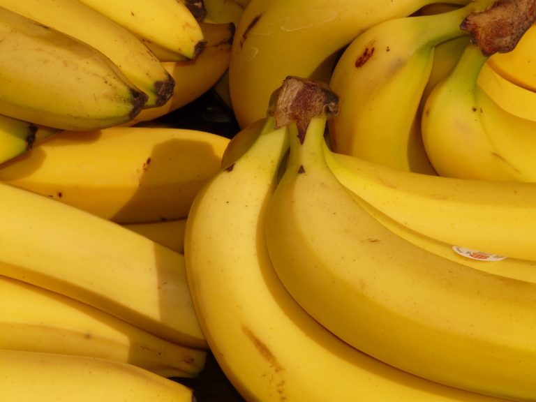 PHL urged Japan for zero tariff on Philippine bananas
