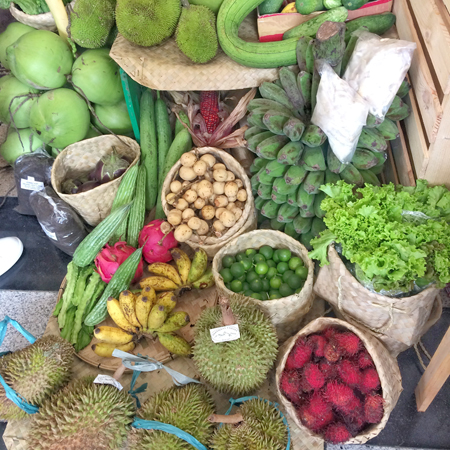 organic farming in iloilo