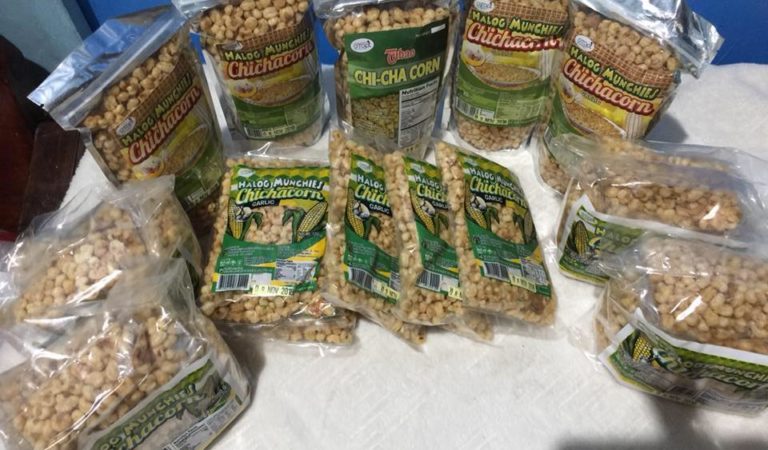 Chichacorn as Additional Income for Farmers in La Union Chichacorn as Additional Income for Farmers in La Union