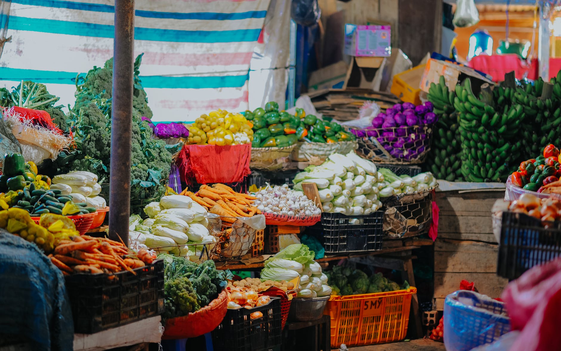 growth of agricultural sector growth of agricultural sector