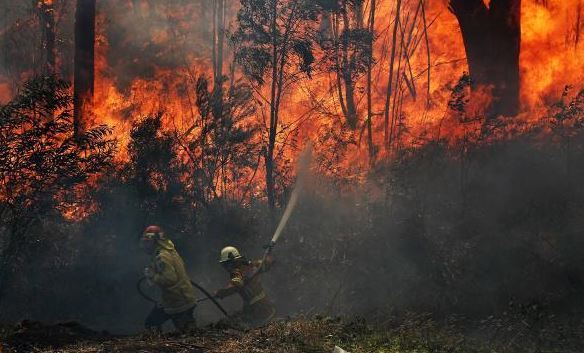 Australia Declares State of Emergency Due to On-going Catastrophic Fires Australia Declares State of Emergency Due to On-going Catastrophic Fires