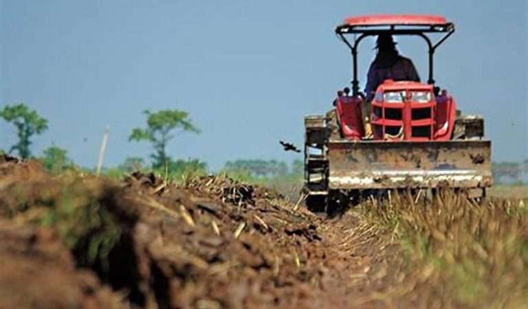 DA Allocates PhP 3Billion for Agricultural Innovations DA Allocates PhP 3Billion for Agricultural Innovations