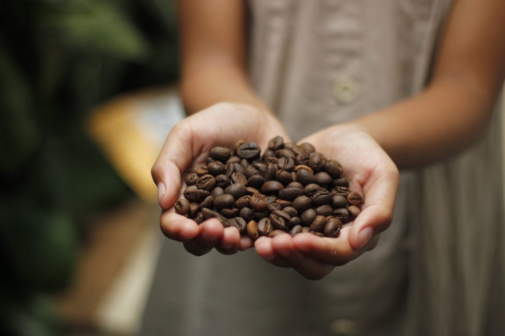 coffee production