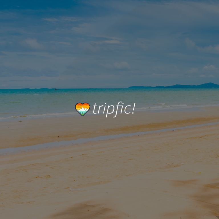 Frosteam Digital Launched Tripfic! a Social Network for Travellers