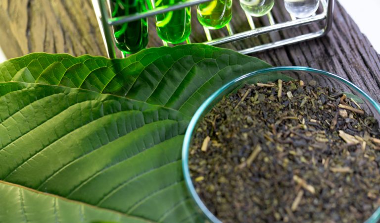 Kratom: The Amazing Benefits and Some Risks Kratom: The Amazing Benefits and Some Risks